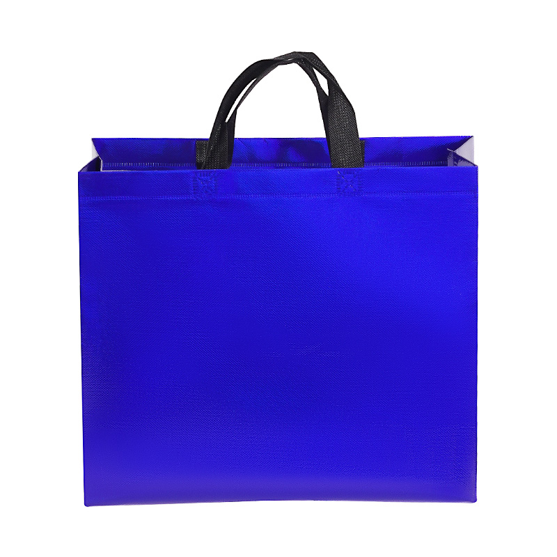 Sturdy Non Woven Reusable Glossy Gift Bag