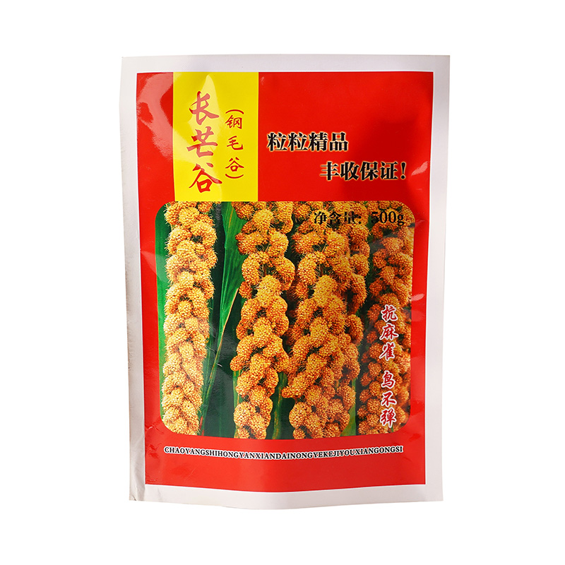 Custom Print Food Packaging Plastic Bag